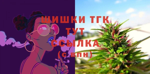 ГАЛЛЮЦИНОГЕННЫЕ ГРИБЫ Горно-Алтайск