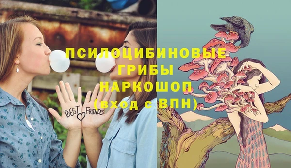 дурь Горняк
