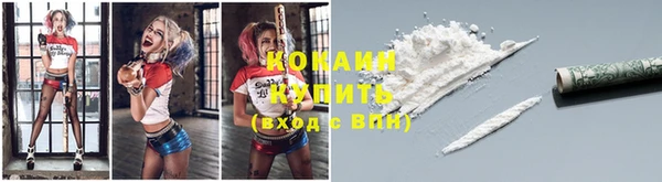 ГАЛЛЮЦИНОГЕННЫЕ ГРИБЫ Горно-Алтайск