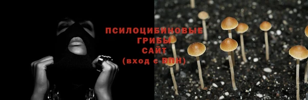 а пвп мука Гусиноозёрск