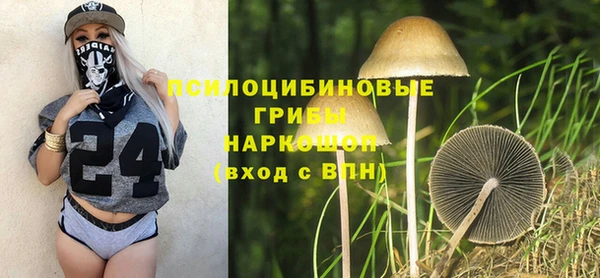 ГАЛЛЮЦИНОГЕННЫЕ ГРИБЫ Горно-Алтайск