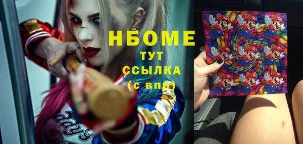 дурь Горняк