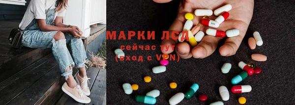 ГАЛЛЮЦИНОГЕННЫЕ ГРИБЫ Горно-Алтайск